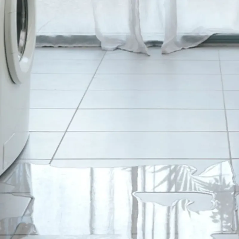 Appliance Leak Cleanup in Bruce, MS