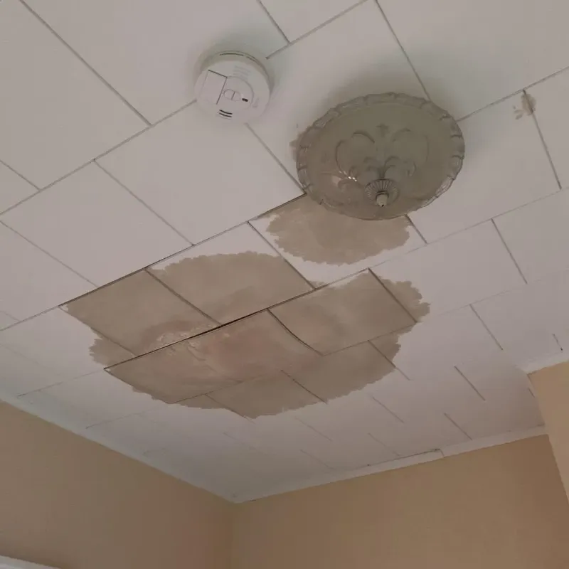 Ceiling Water Damage Repair in Bruce, MS