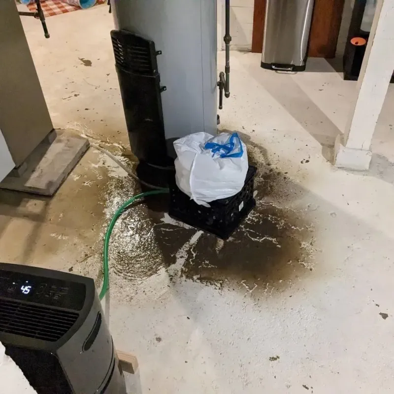 Sewage Backup Cleanup Service in Bruce, MS